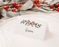 Red Christmas Bow Place Name Card / Holiday Place Setting / Christmas Place Card / Party Food Label Tent Fold - Printed/ Blank