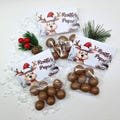 Reindeer Farts Guest Gift Advent Calendar Souvenir Christmas