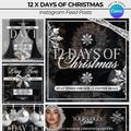 12 Days of Christmas, Editable Templates, Christmas Offers, Silver and Black Theme, Edit in Canva, Beauty business offers, December Offers
