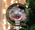 Cute Baby Hippo Moo Deng Bouncy Pig in Thai Hippopotamus Ornament, Moo Deng Ornament, Hippo Lover, Pygmy Hippo Moo Deng Ornament BYKK09