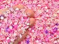 Pink Christmas Confetti Mix - Fake Sprinkles for Slime, Decoden, or Fake Bakes - Modern Christmas Shaker Filler
